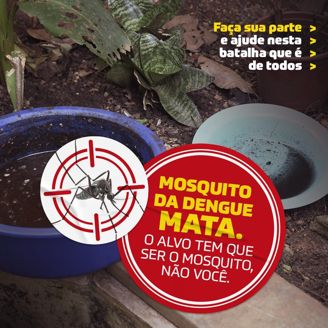 ARBOVIROSES 2024 – dengue, zika e chikungunya